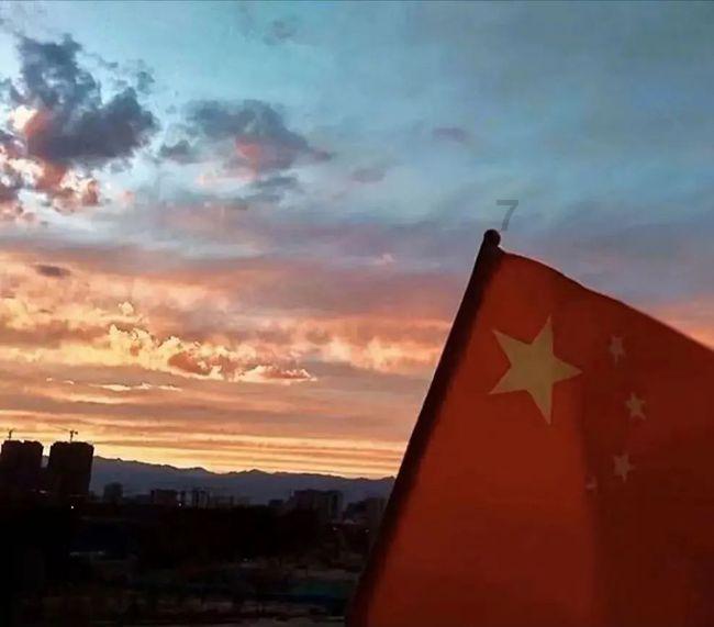 细胞分裂4