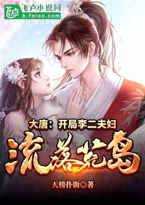 插座高度游戏画面